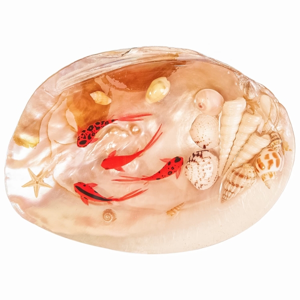 Shell 3d Nowruz Goldfish