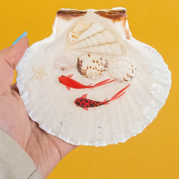 3d Haft Seen Goldfish and Shell