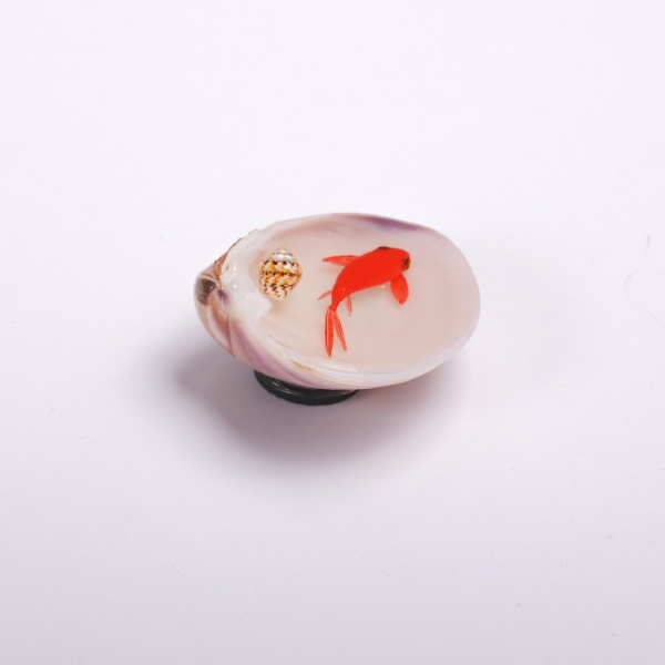 3d Haft Seen Goldfish and Shell