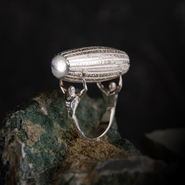 Cyrus Cylinder Seal Ring