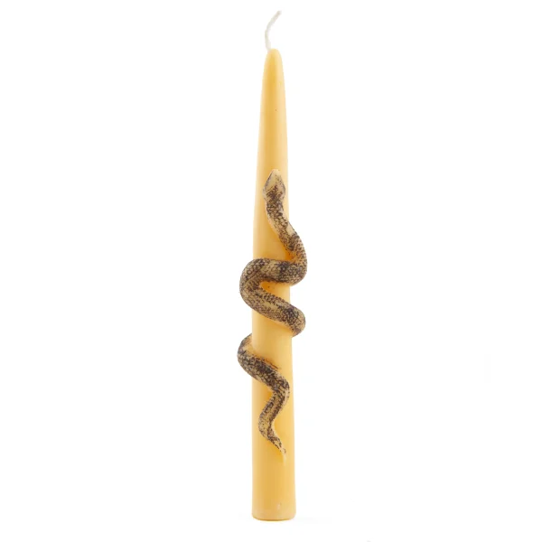 Cream Taper Candle with 1404 Snake Design